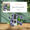 Fuente Flavours 10ml | Diffuser aroma's™